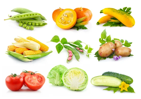 Conjunto de verduras otoñales aisladas en blanco —  Fotos de Stock