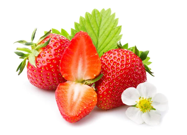 Fraises avec feuilles et fleurs. Isolé sur un blanc — Photo