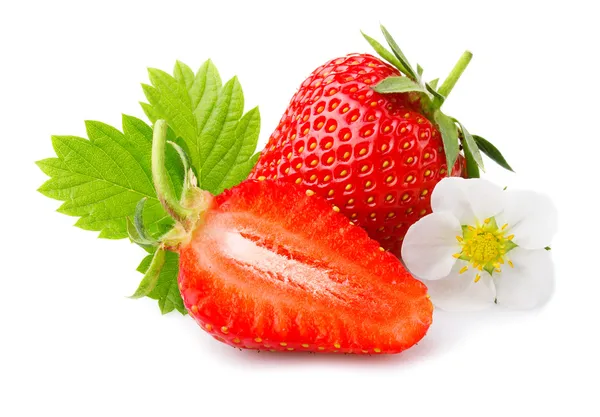 Fresas con hojas y flores aisladas sobre un blanco —  Fotos de Stock