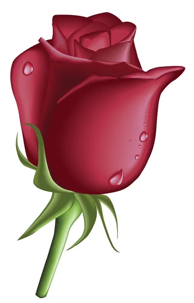 Red rose drop — Stock Vector