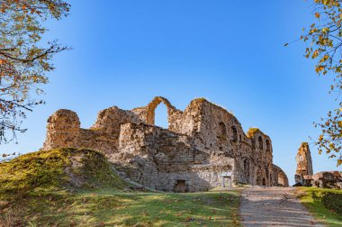 Koknese Kalesi kalıntıları Letonya 'nın Koknese şehrinde bir kompleks.