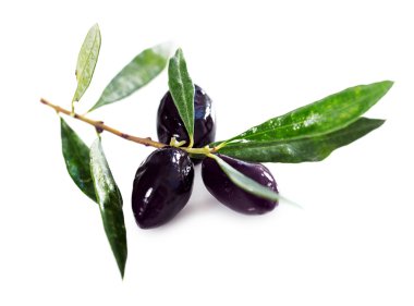 yaprakları ile Konfit Siyah Zeytin
