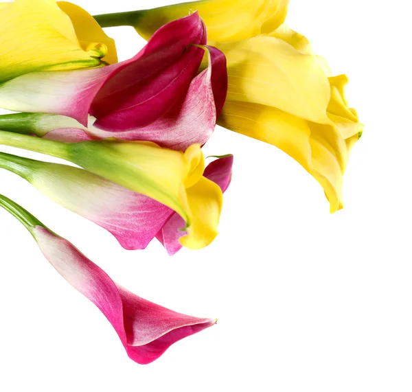 Bouquet de lys cala jaunes et roses — Photo