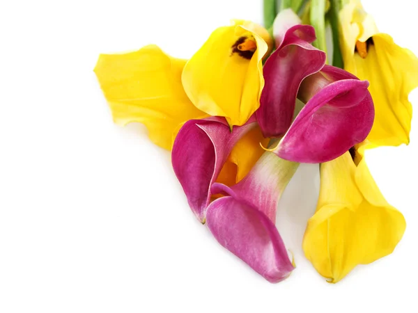 Ein Bündel gelber und rosa Cala-Lilien — Stockfoto