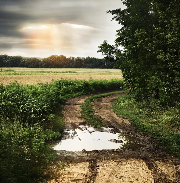 Route de campagne humide avec ciel nuageux sombre — Photo