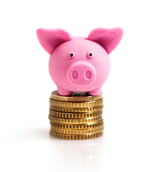 Little pink pig on coins — Stock Photo, Image