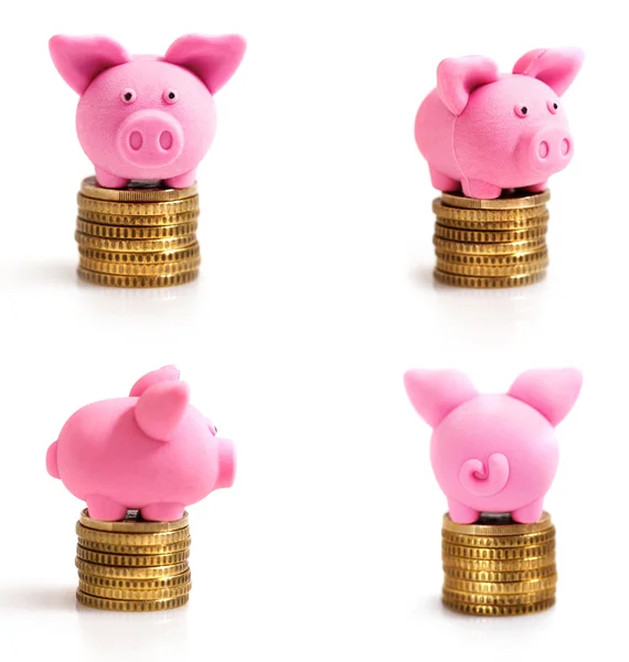 Four little pink pigs on coins — Stock Photo, Image