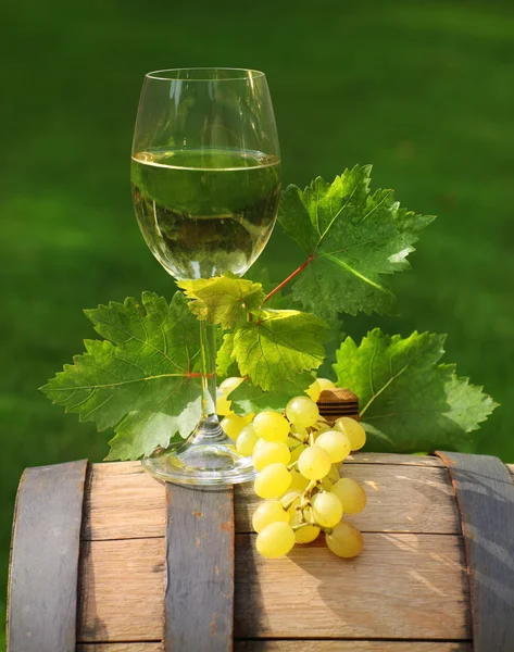 Um copo de vinho branco no barril de vinho — Fotografia de Stock
