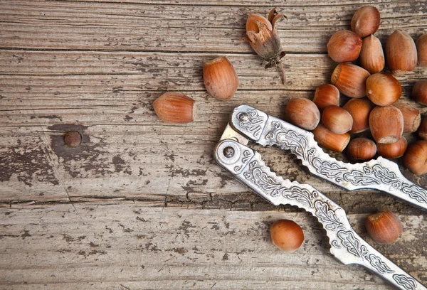 Haselnüsse (Fibert) und Nussknacker — Stockfoto