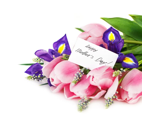 Bela flor de íris roxa escura, tulipas e muscari — Fotografia de Stock
