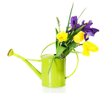 buket Pembe Laleler, Menekşe iris ve muscari