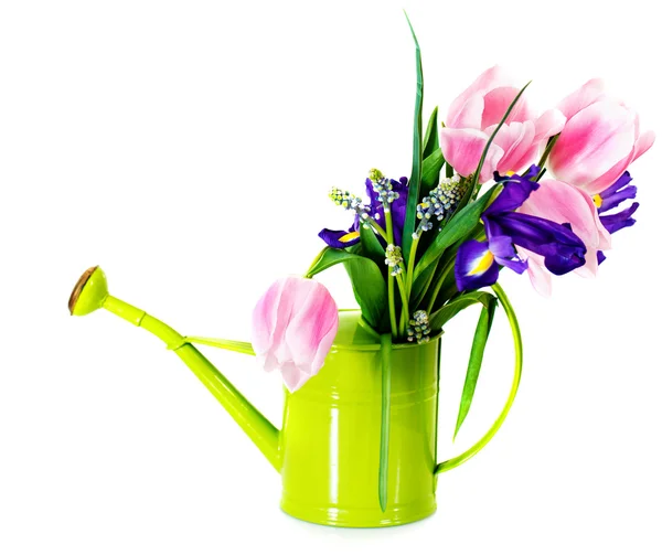 Bouquet of pink tulips, violet iris and muscari — Stock Photo, Image