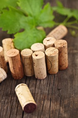 Beyaz arka plan üzerinde şarap kavramı