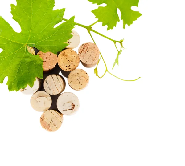 Gedateerd wijnfles kurken geïsoleerd op de witte — Stockfoto