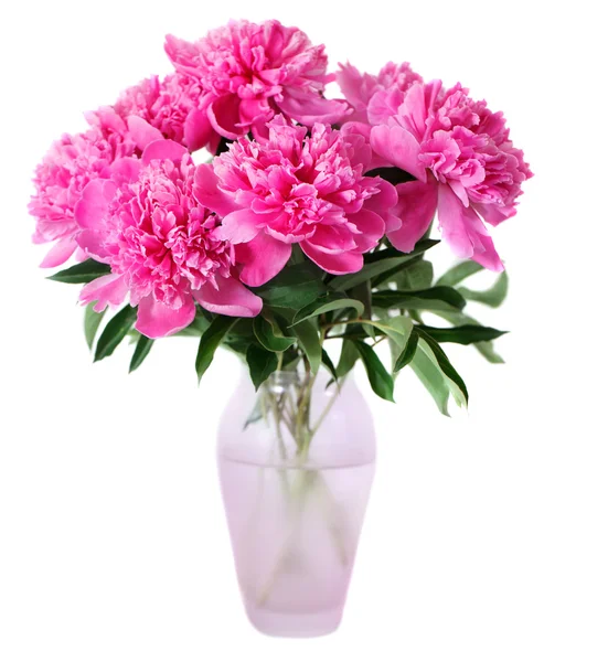 Piwonia różowe kwiaty w wazon — Zdjęcie stockowe