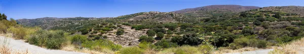 Красивая панорама холма с оливковыми деревьями — стоковое фото