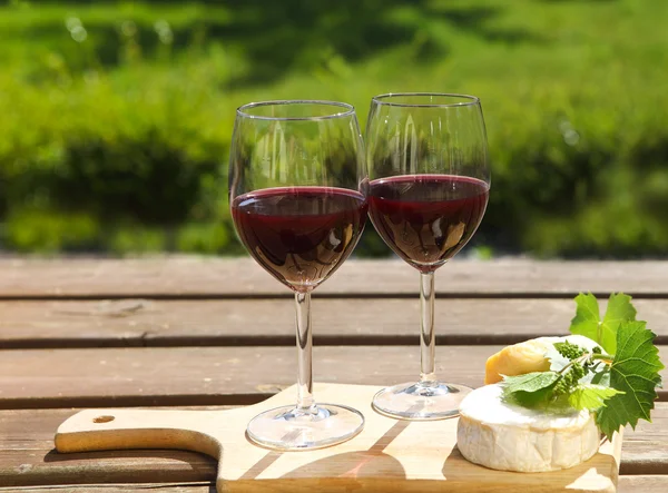 Various sorts of cheese and two glasses of the natural homemade — Stock Photo, Image