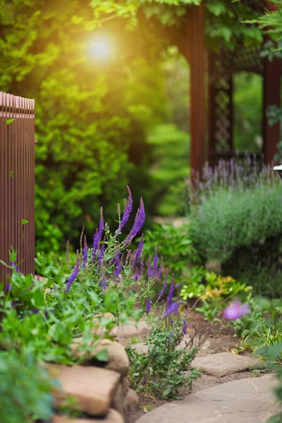 Ogród z altaną i kwiatami — Zdjęcie stockowe
