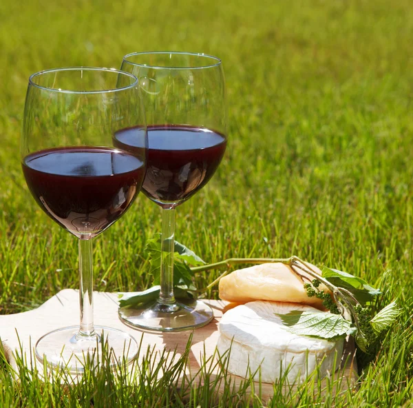 Various sorts of cheese and two glasses of the natural homemade — Stock Photo, Image