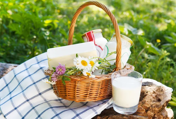 Olika mjölkprodukter: ost, grädde, mjölk — Stockfoto