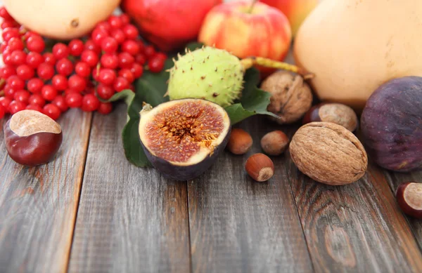 Autumn still life — Stock Photo, Image