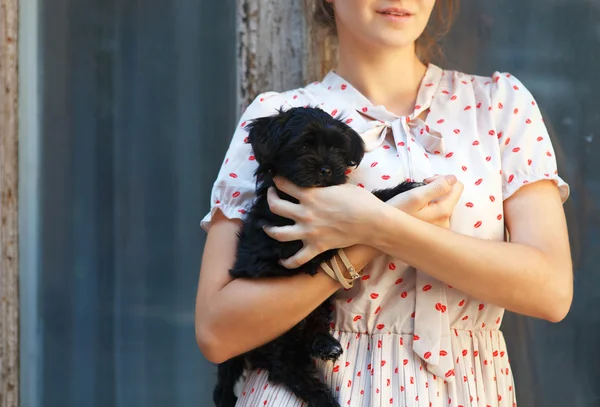 Young brunette woman hugging her lap dog puppy — Stock Photo, Image