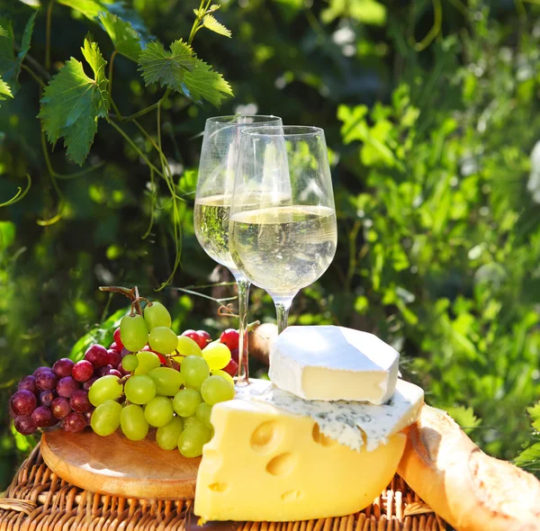 Různé druhy sýra, pečivo, hrozny a dvě sklenice WH — Stock fotografie