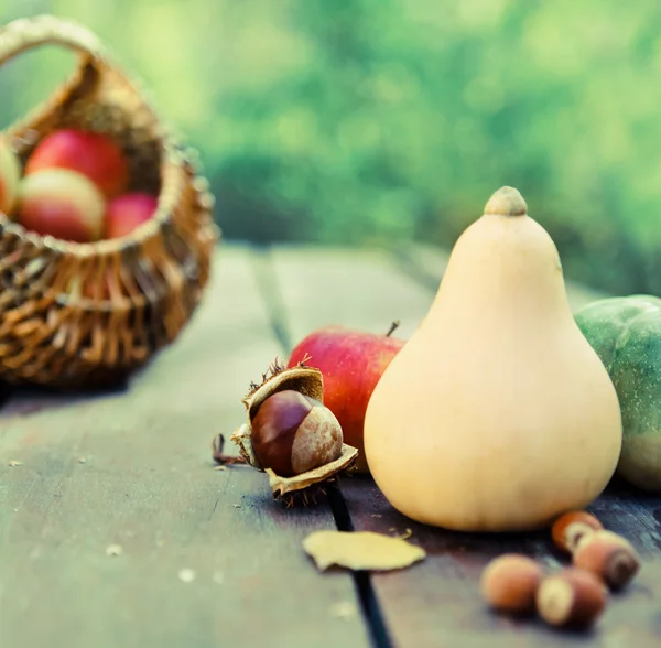 Κολοκύθες, μαρμελάδα, καρύδια και καλάθι με τα μήλα — Φωτογραφία Αρχείου