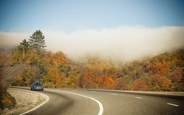 Foggy autumnal road — Stock Photo, Image