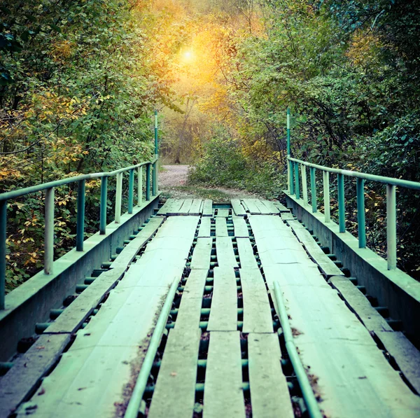 Старый мост в осеннем туманном парке — стоковое фото
