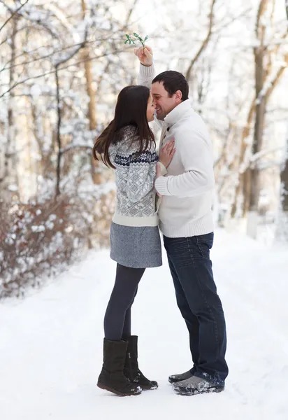 Feliz jovem casal se divertindo no parque de inverno — Fotografia de Stock