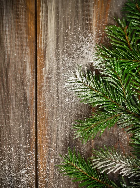 Fir kerstboom bedekt met sneeuw — Stockfoto