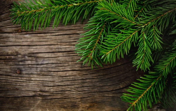 Sapin de Noël sur fond en bois — Photo