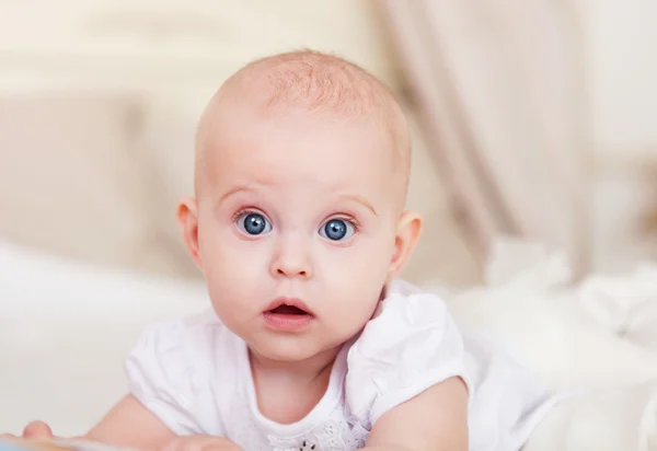 Retrato del bebé de seis meses de edad — Foto de Stock