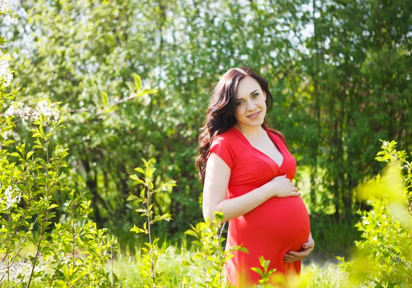 Portret van mooie zwangere vrouw in rode jurk — Stockfoto