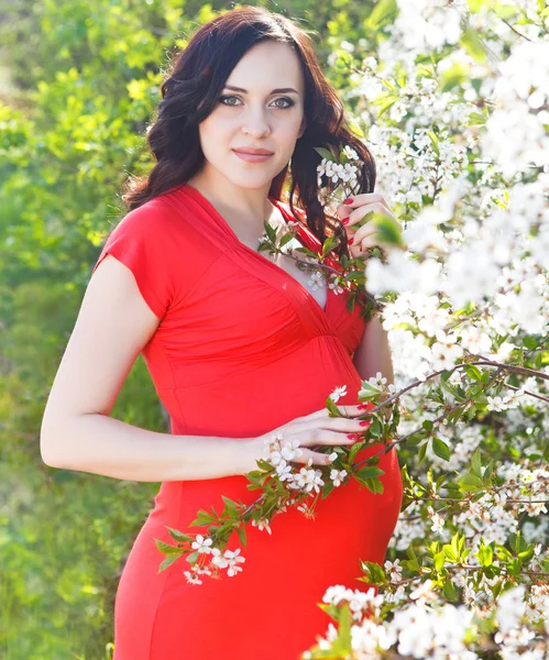 Mujer embarazada en vestido rojo en el floreciente parque de primavera — Foto de Stock