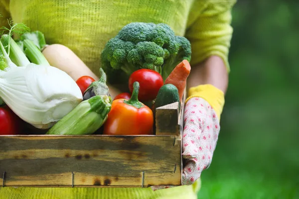 Mujer usando guantes con verduras frescas en la caja en su han —  Fotos de Stock
