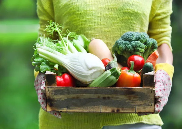 Donna che indossa guanti con verdure fresche nella scatola nel suo han — Foto Stock