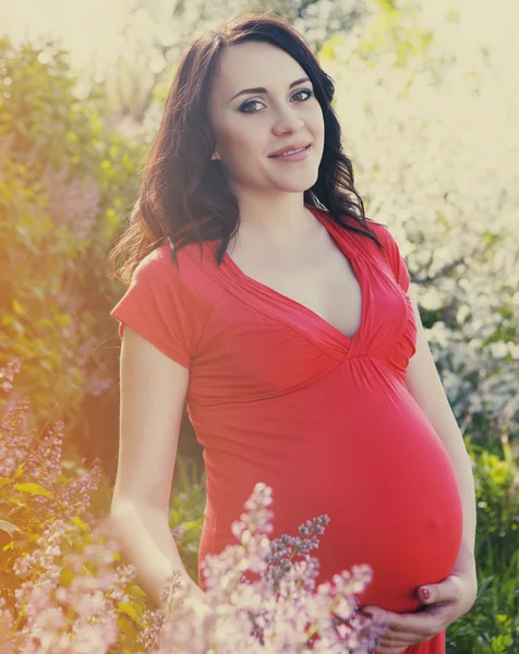 Kırmızı elbiseli güzel bir hamile kadın portresi — Stok fotoğraf