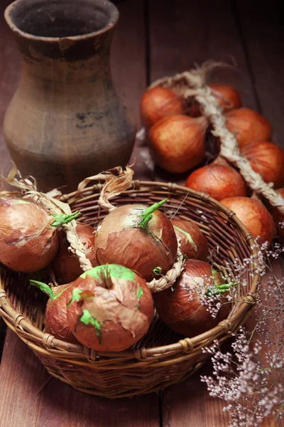 Onions on a wooden board — Stock Photo, Image