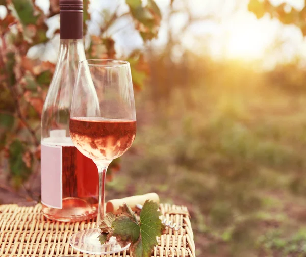 Um copo e garrafa de vinho rosa na vinha de outono — Fotografia de Stock