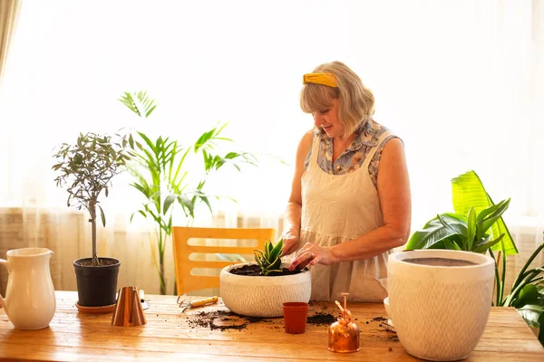 在自家花园工作的围裙中微笑着的高加索老年妇女 照顾室内植物 移植后的退休女性在瓷壶中浇灌室内植物 — 图库照片