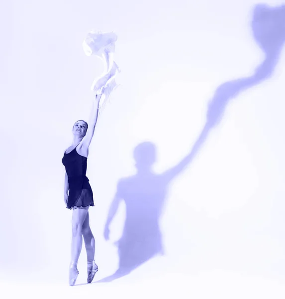 Estilo Moderno Bailarino Balé Posando — Fotografia de Stock