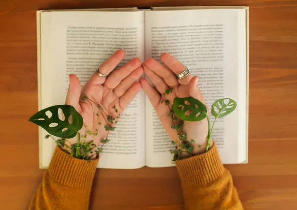 Green Leaves Wrapped Female Hands Lying Open Book Cropped Shot — Zdjęcie stockowe