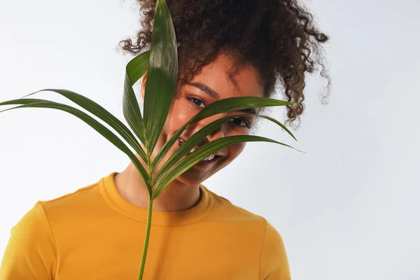 Joven Feliz Mujer Afroamericana Alegre Con Alto Peinado Hojaldre Sosteniendo —  Fotos de Stock