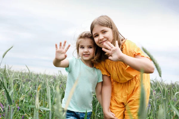 Två Små Flickor Kramar Varandra Ett Sommarfält Lyckliga Systrar Sommaräng — Stockfoto