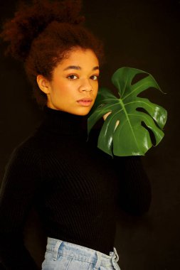 Doğal güzellik. Siyah duvarda tropikal bitki tutan düşünceli Afrikalı bir kadın, yeşil canavar yaprağı olan ve kameraya bakan Afro-Amerikan bir kadının karanlık stüdyo portresi.
