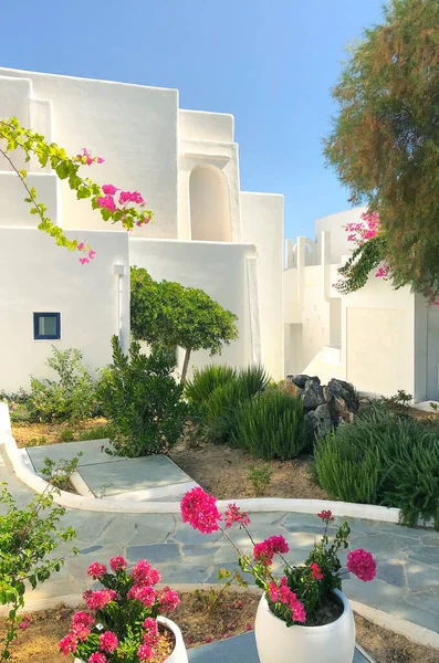 Plants Blooming Flowers Pots Placed Entrance House Countryside Summer — Stock Photo, Image