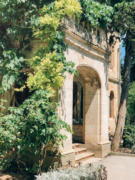 Old Historical Building Facade Semicircular Window Green Climbing Plant Sunny — Stock Photo, Image