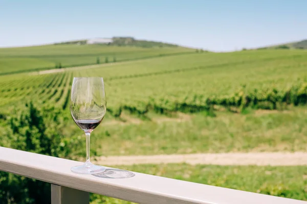 Vitigno Calice Con Vino Rosso Fondo Vigneto — Foto Stock